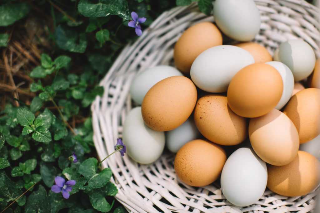 Don't have too many eggs in one basket when you're a business owner.